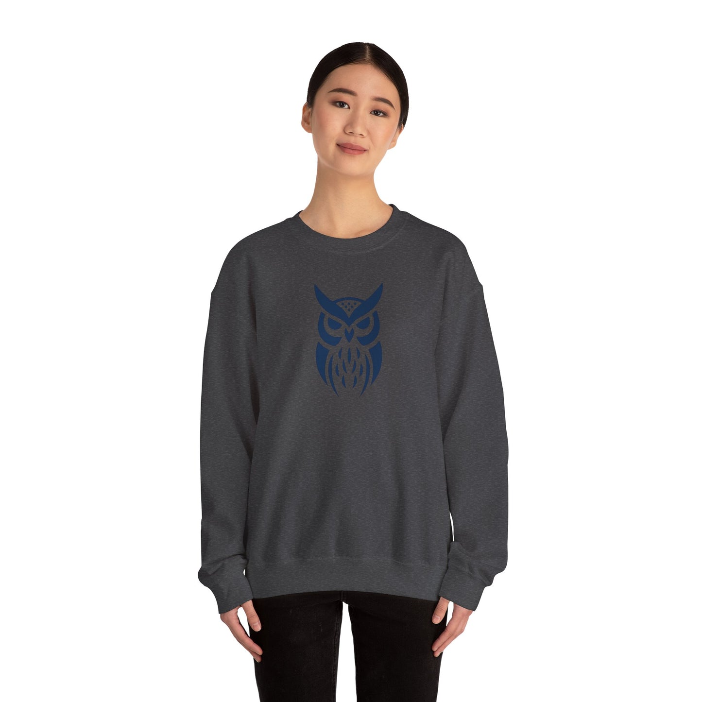 Owl Graphic Sweatshirt, Cozy Unisex Crewneck, Perfect for Fall Fashion, Animal Lovers Gift, Halloween & Everyday Wear