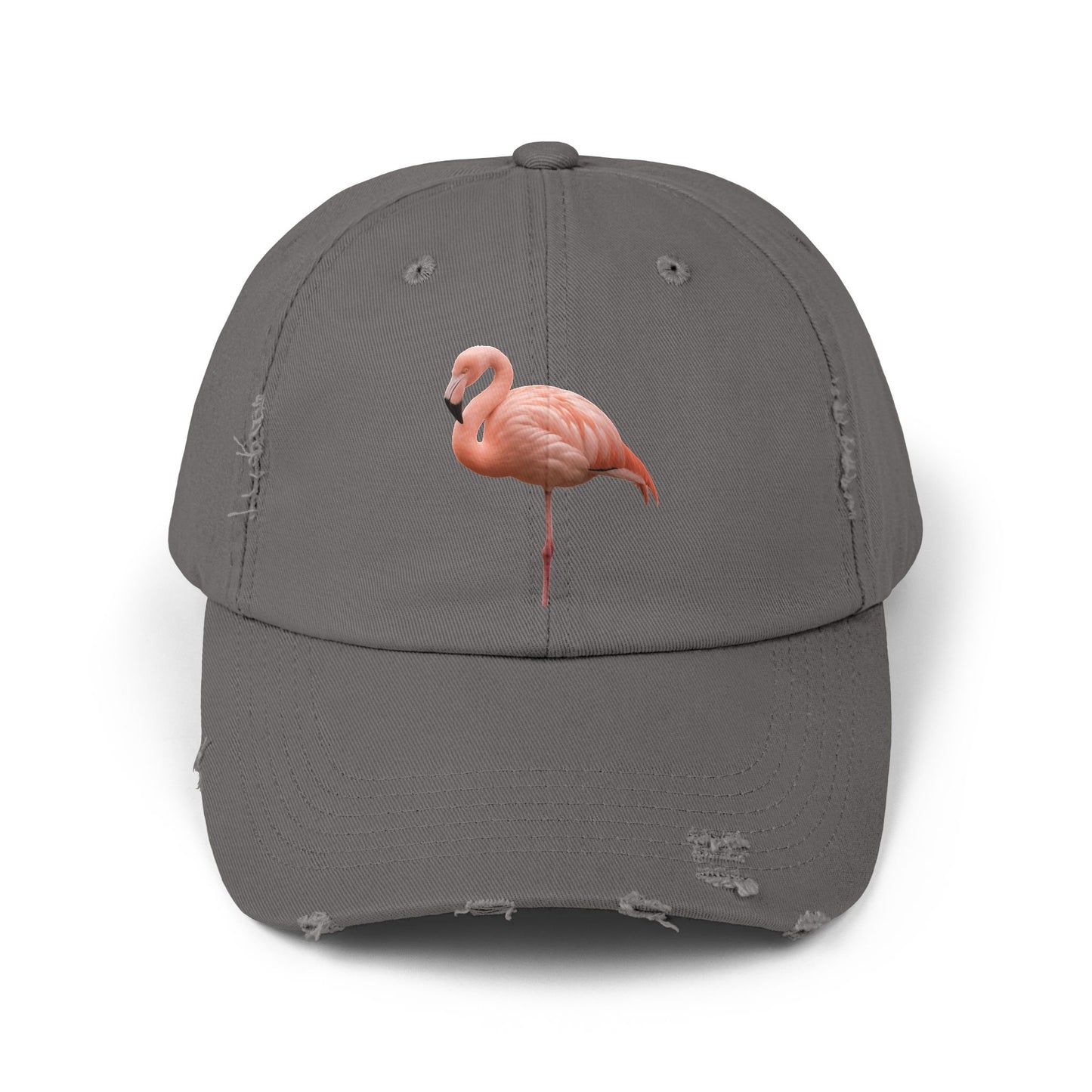 Unisex Distressed Cap