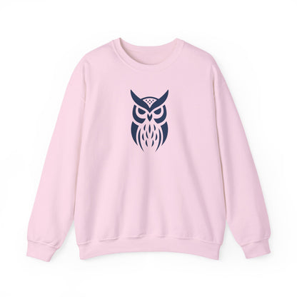 Owl Graphic Sweatshirt, Cozy Unisex Crewneck, Perfect for Fall Fashion, Animal Lovers Gift, Halloween & Everyday Wear