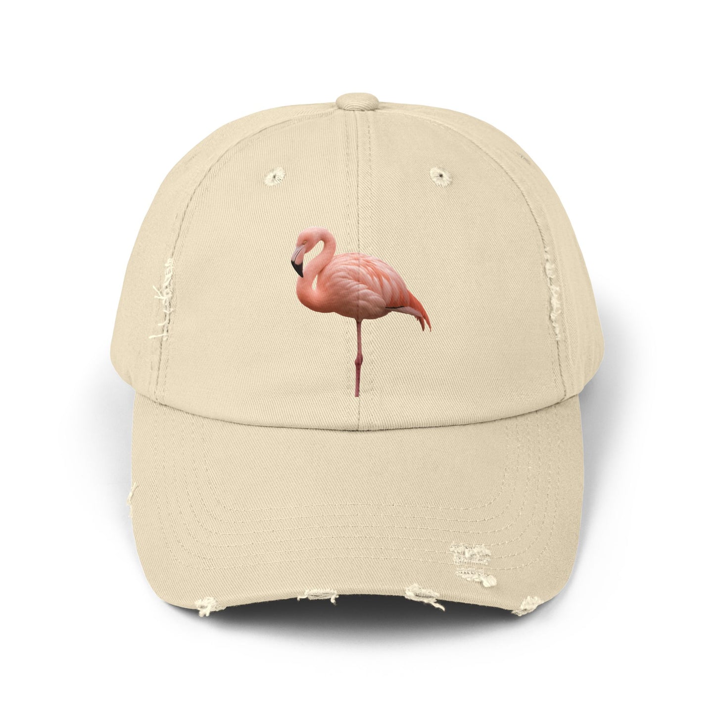 Unisex Distressed Cap